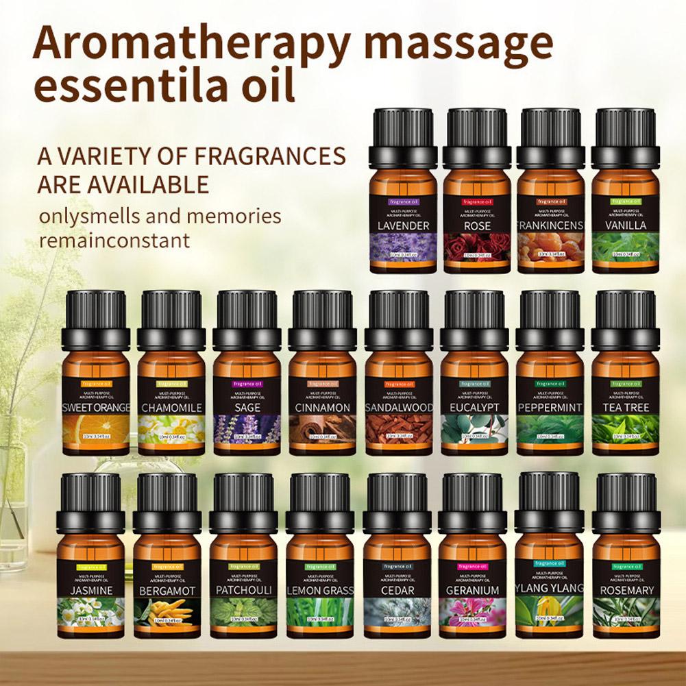 10mL Aromatherapy Essential Oi - đánh giá và giá Essential Oil Blend