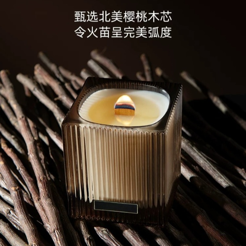 Aromatherapy Scented Candle, L - đánh giá và giá Home Fragrance Aromatherapy