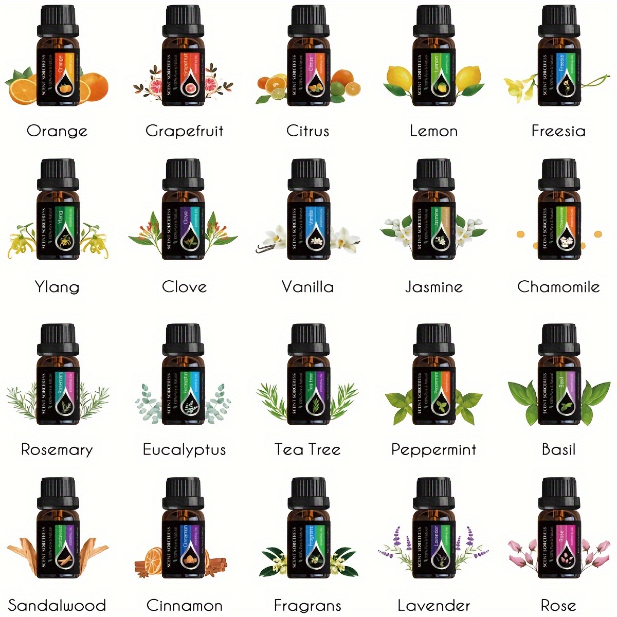 20Pcs/Set Classic Brand Essent - đánh giá và giá Essential Oil Blend
