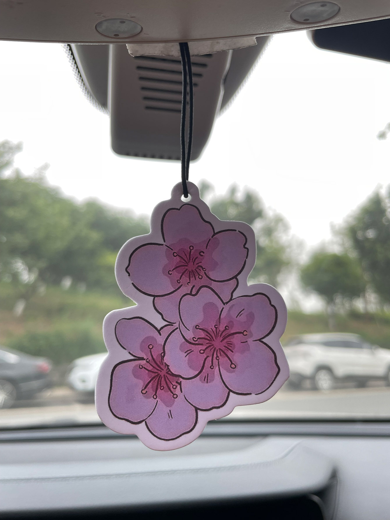 Sakura/Freesia Fresh Scent Fiv - đánh giá và giá Home Fragrance Types